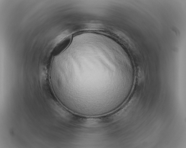 X0000113921449200910151429