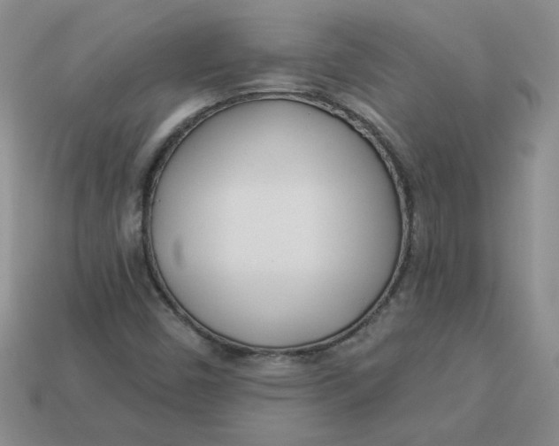 X0000113921450200910151429