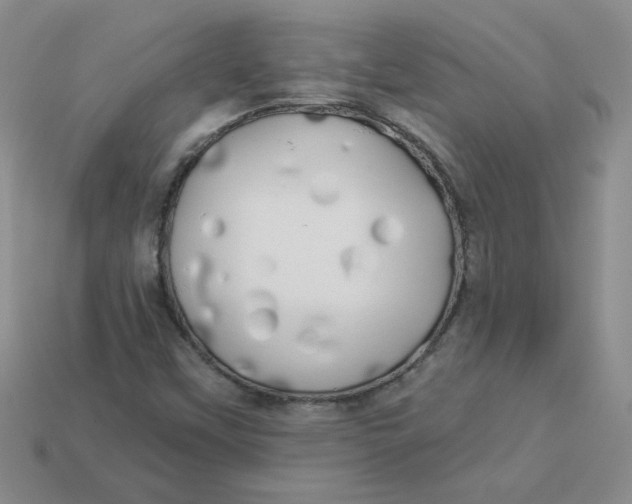 X0000113921451200910151429