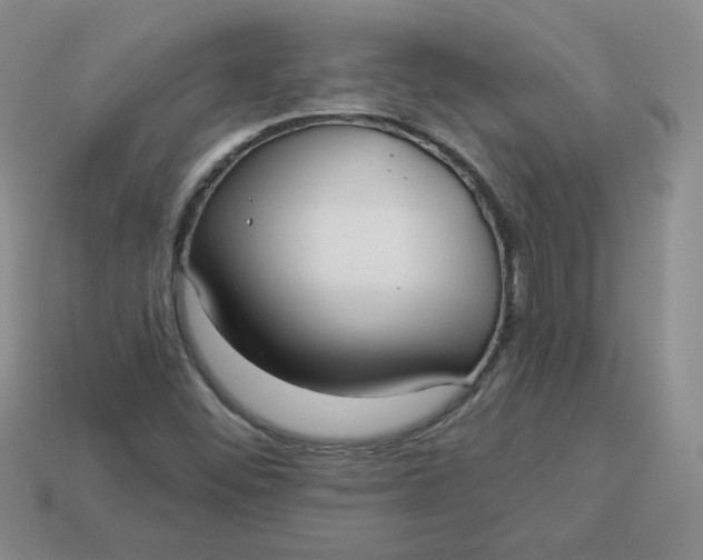 X0000113921452200910151429