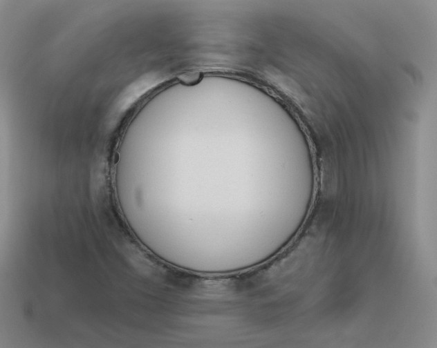 X0000113921453200910151429