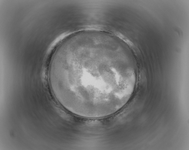 X0000113921454200910151429