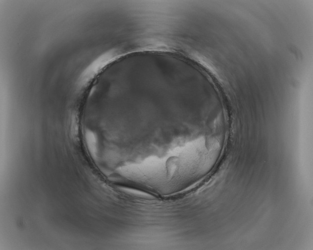 X0000113921455200910151429
