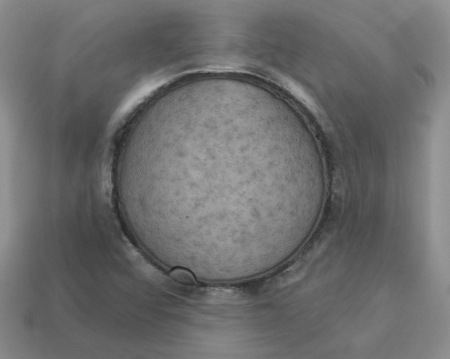 X0000113921456200910151429