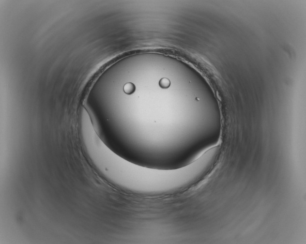 X0000113921457200910151429