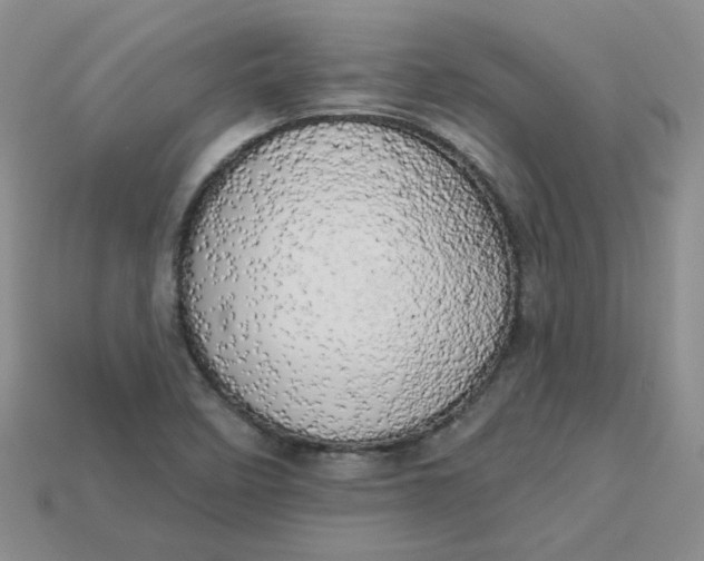 X0000113921458200910151429
