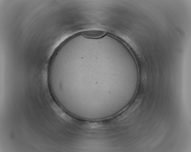 X0000113921460200910151429