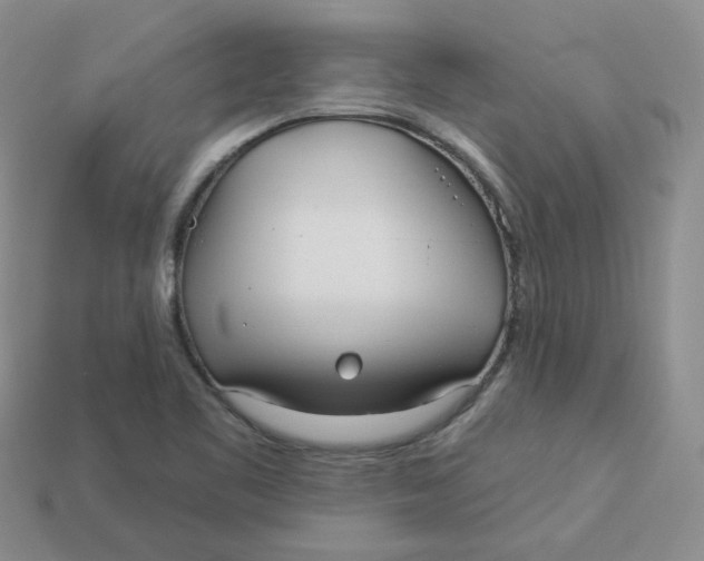 X0000113921461200910151429