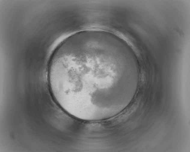 X0000113921462200910151429