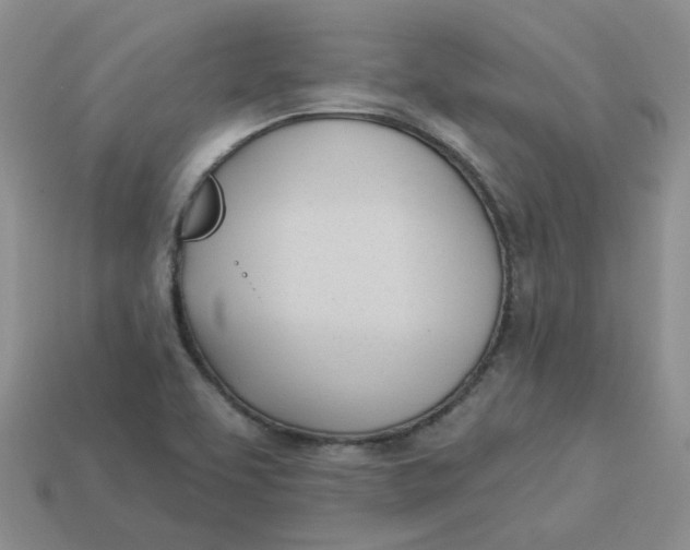 X0000113921463200910151429