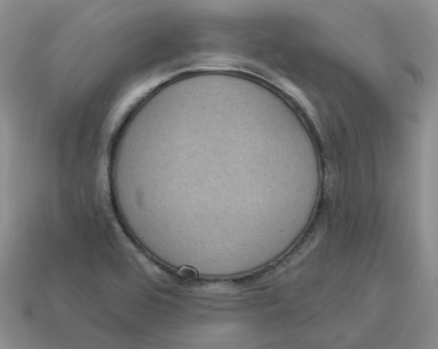 X0000113921464200910151429