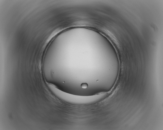 X0000113921465200910151429