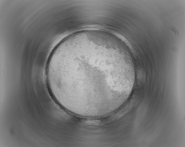X0000113921466200910151429