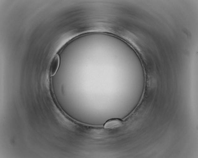 X0000113921468200910151429