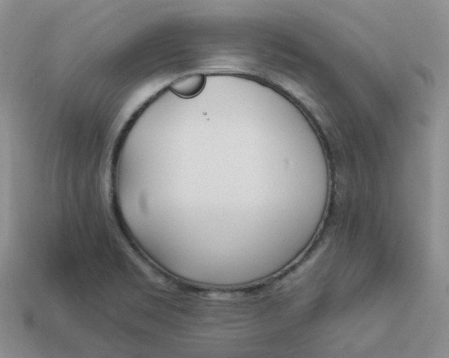 X0000113921469200910151429