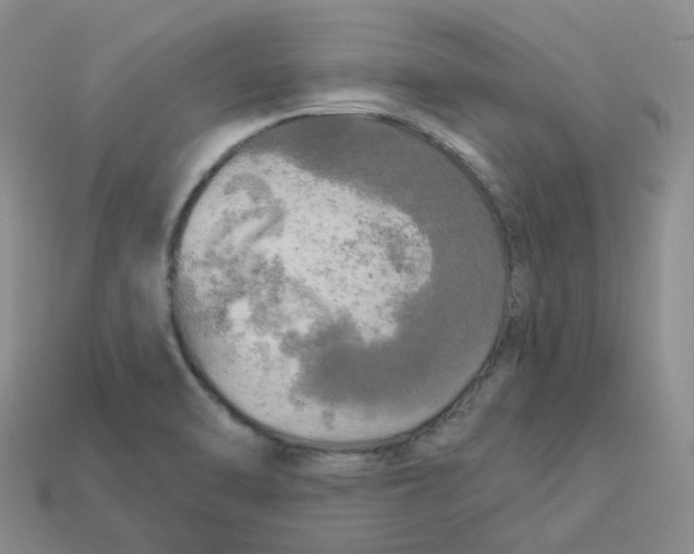 X0000113921470200910151429