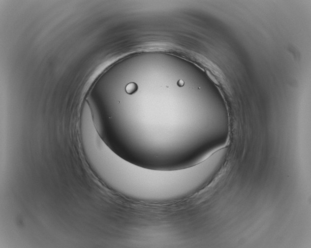 X0000113921473200910151429