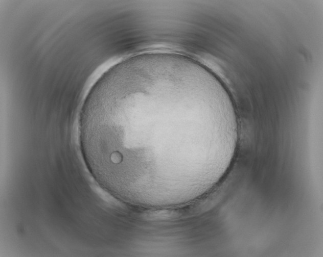 X0000113921474200910151429