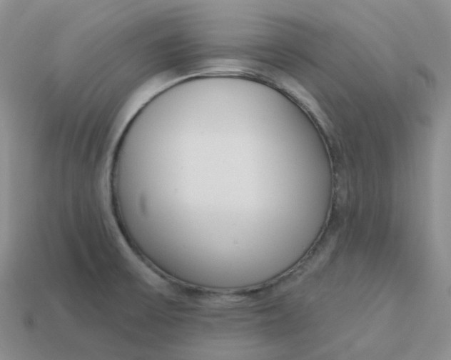 X0000113921475200910151429