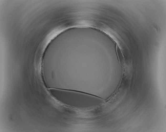 X0000113921477200910151429