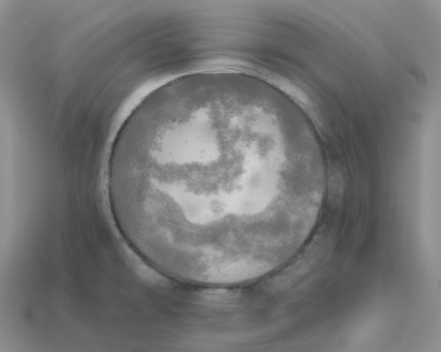 X0000113921478200910151428