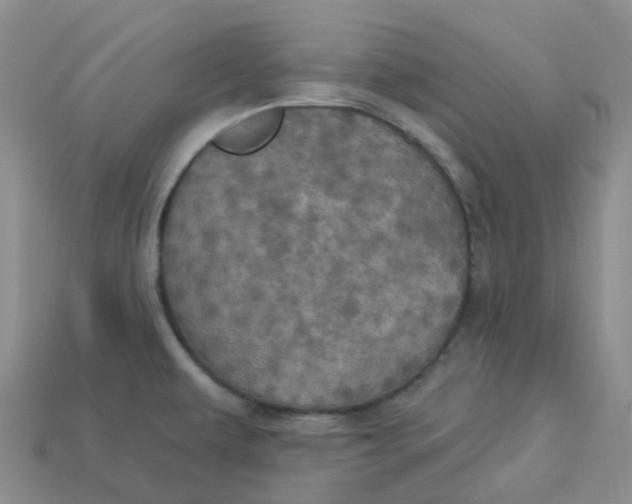 X0000113921479200910151428