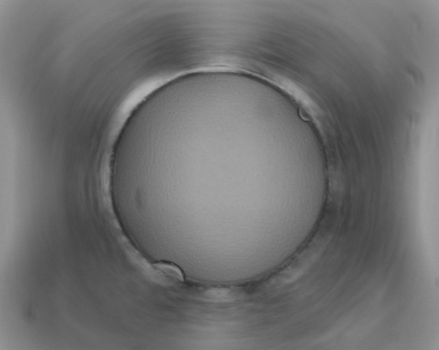 X0000113921480200910151428