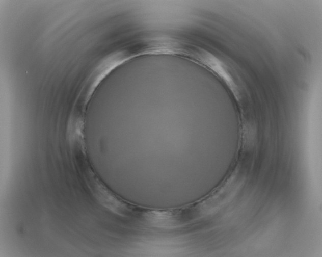 X0000113921481200910151428
