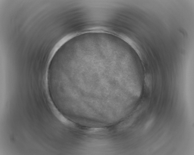 X0000113921482200910151428