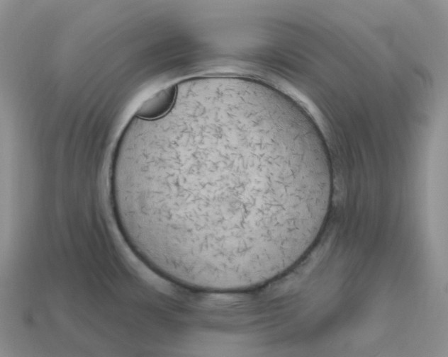 X0000113921483200910151428