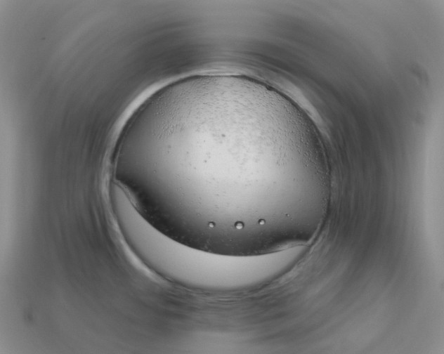 X0000113921484200910151428