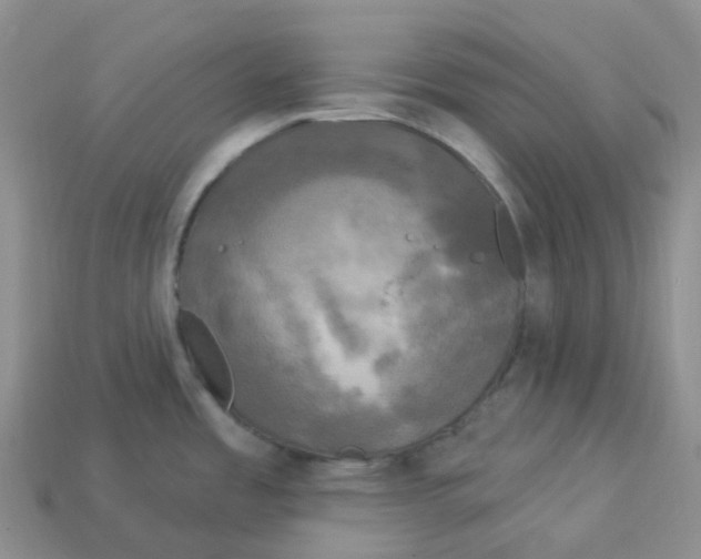 X0000113921485200910151428