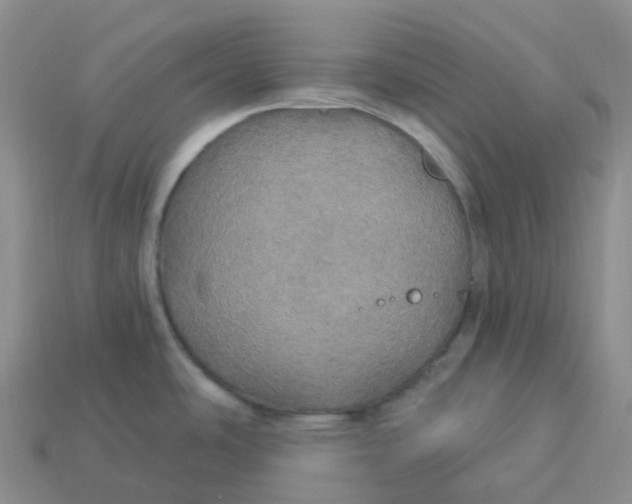 X0000113921486200910151428