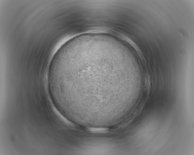 X0000113921487200910151428