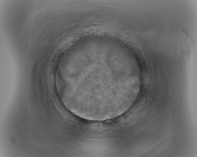 X0000113921489200910151428