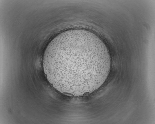 X0000113921490200910151428