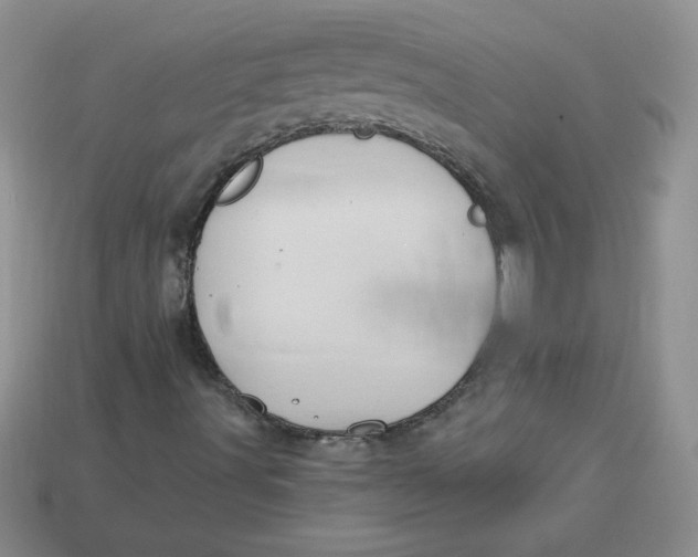 X0000113921491200910151428