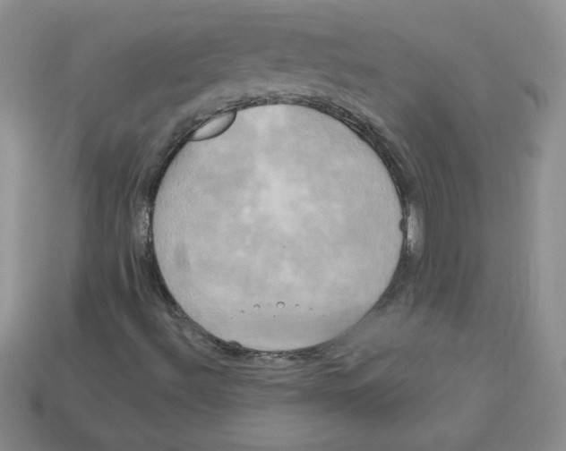 X0000113921492200910151428