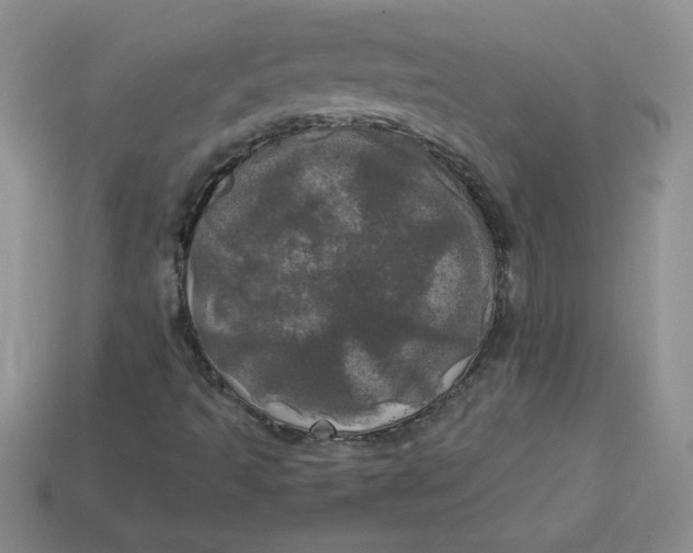 X0000113921493200910151428