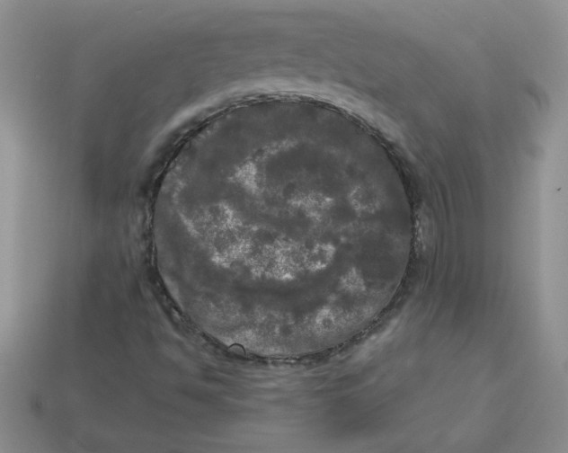 X0000113921494200910151428