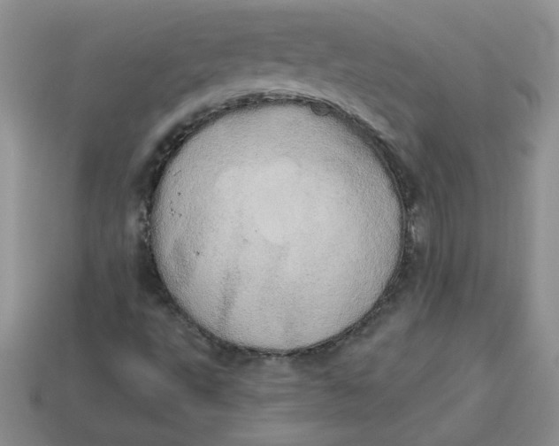 X0000113921495200910151428