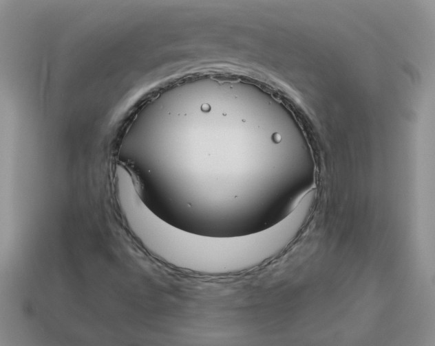 X0000113921496200910151428
