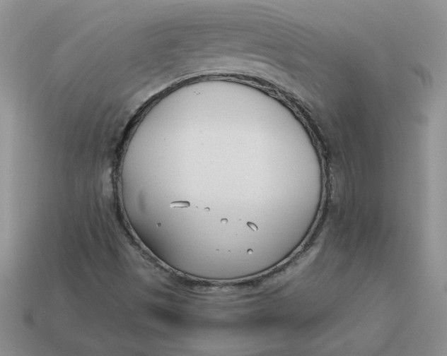 X0000113921497200910151428
