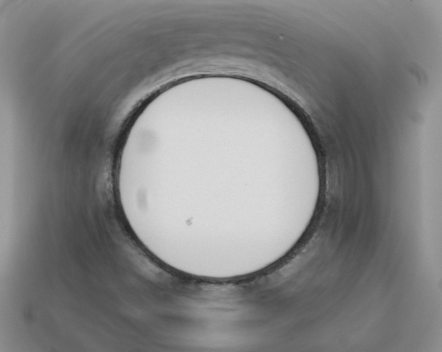 X0000113921498200910151428