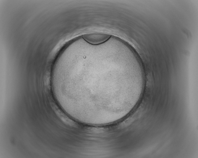 X0000113921499200910151428