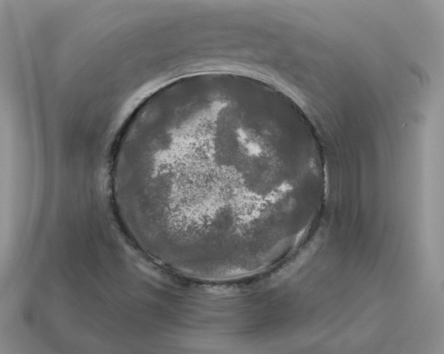 X0000113921501200910151428