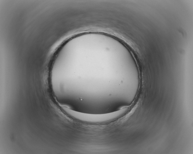 X0000113921502200910151428