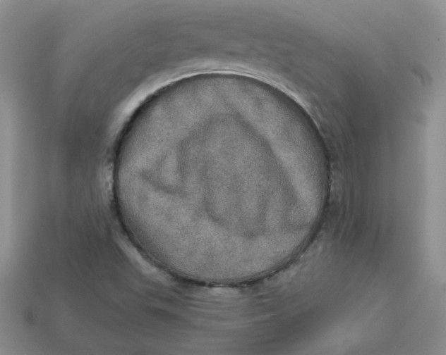 X0000113921503200910151428