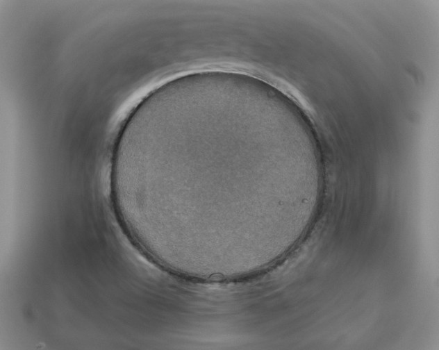 X0000113921504200910151428