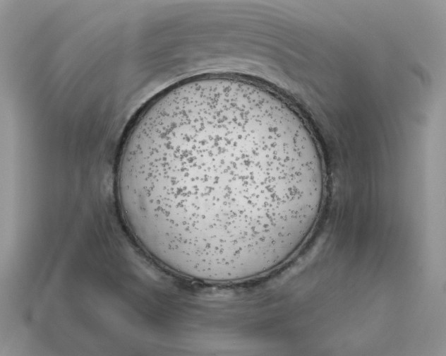 X0000113921505200910151428